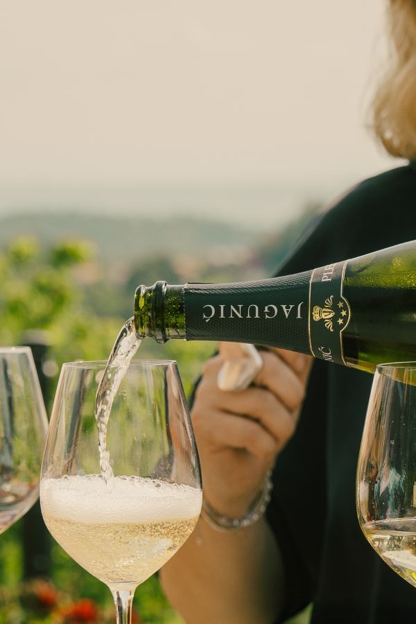 Vino kao srce priče